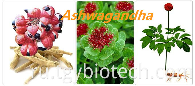 Ashwagandha root Extract